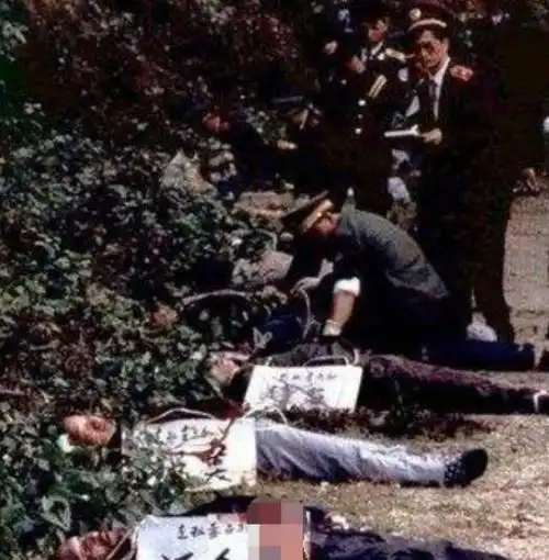 80年代老照片公安用枪给罪犯执行枪决法医检查犯人是否断气