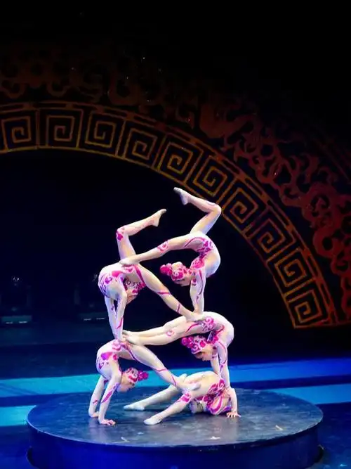 苏州杂技小丑表演分析小丑的种类