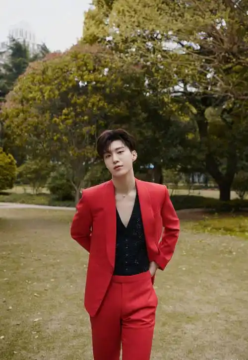 范丞丞出席品牌活动,身穿洋红西服套装,明媚优雅的翩翩少年_装饰_马甲
