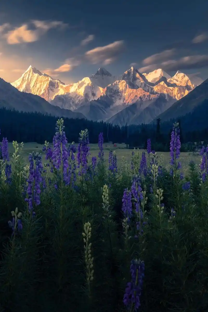 接下来的新疆天山是这样的.