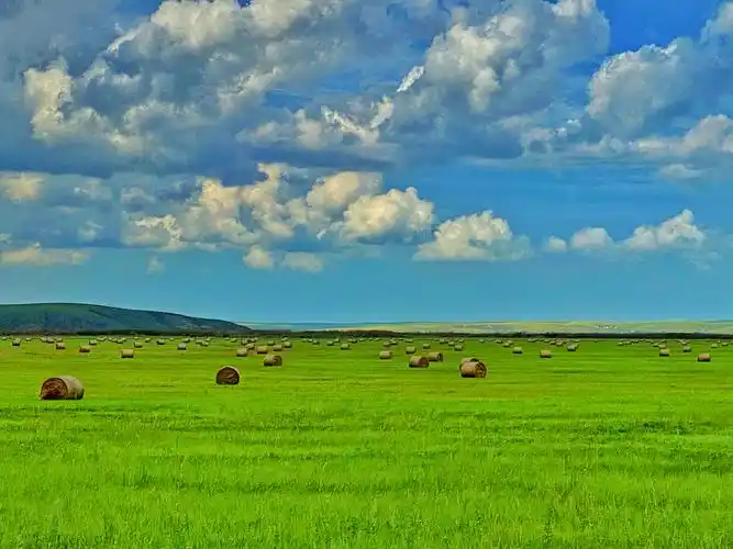 呼伦贝尔大草原边境公路的美景