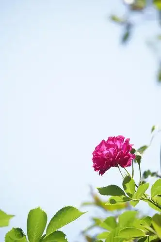 天空,最美的背景板