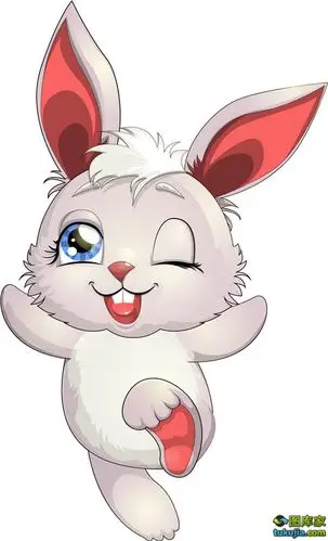 卡通动物 哥特风格 小动物 卡通动画 野生动物 矢量2435