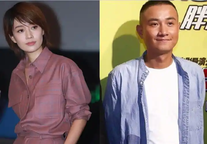 离婚后文章为自己的错误付出了代价,事业尽毁,无戏可拍,而马伊琍片约