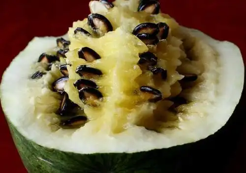 我们嗑的西瓜子是咋来的