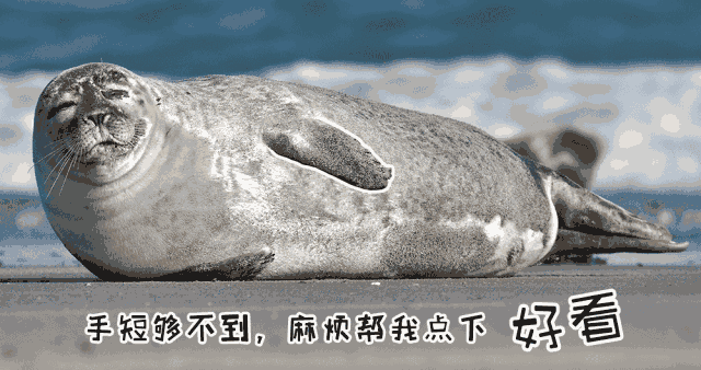 640_338gif 动态图 动图