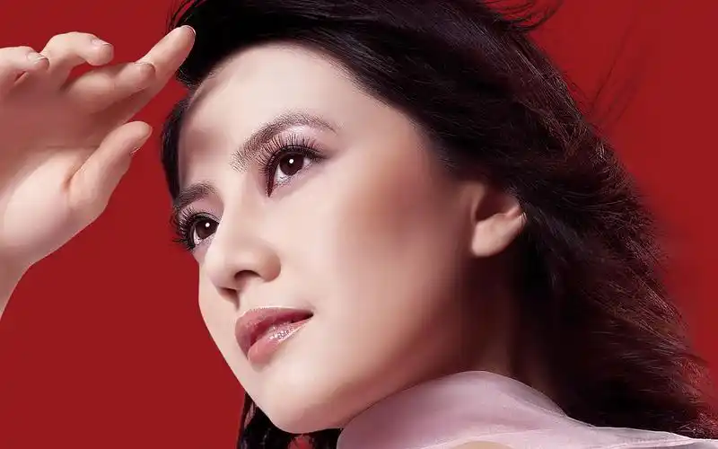 明星高圆圆脸部特写高清照片素材(20p)