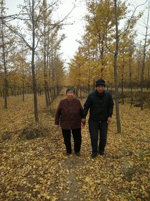 看着老爸老妈的背影,好像他们一下子老了很多!