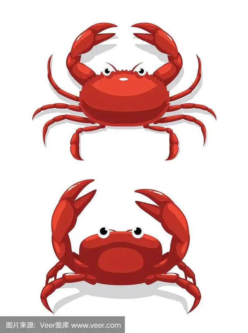 正面视角,可爱的,卡通,螃蟹,自然