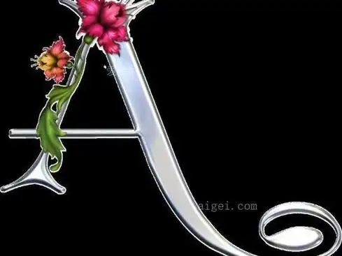 银色花藤缠绕装饰英文字母图片