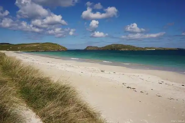 滩涂和沙滩的区别详解