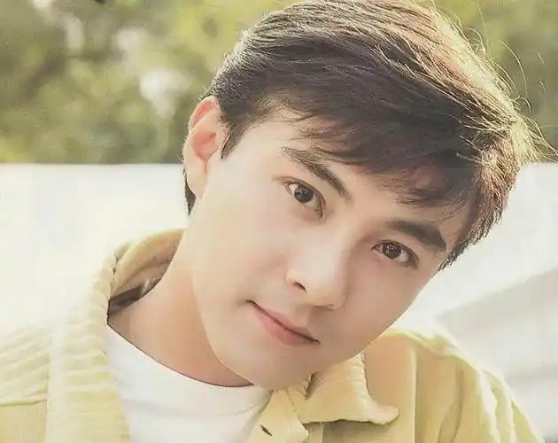 90年代男明星颜值,第一名混过黑社会,最后一名比鹿晗还要帅!