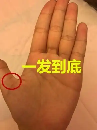 手上出现这几种财富纹,流年大运一到,必发大财