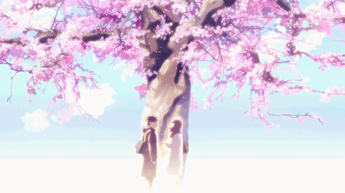 活动报名|自驾宜良樱花谷——邂逅粉色浪漫