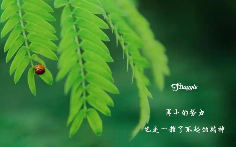 简约风格的带字励志图片,高清壁纸,图片,时光记忆-回车桌面