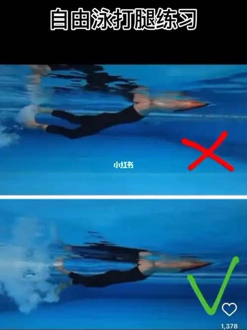 uptoya自由泳打腿