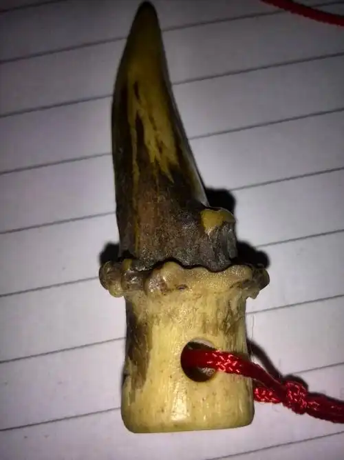 这颗老虎牙值多少钱?