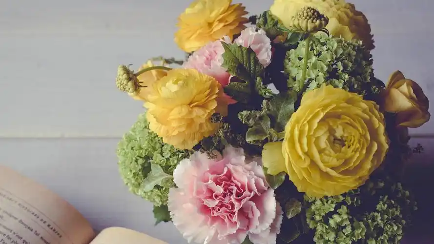 唯美康乃馨盆栽壁纸 _ 图片网