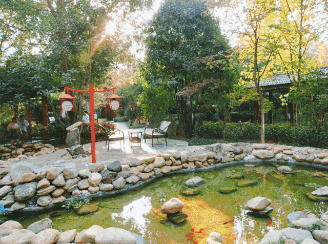 无锡首家室外樱花温泉酒店23座泡池双人自助晚餐618套