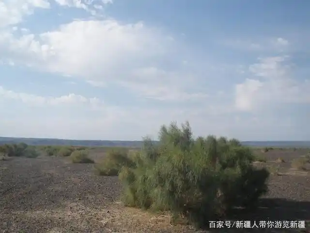 不用出国也能看到澳大利亚半荒漠草原风光