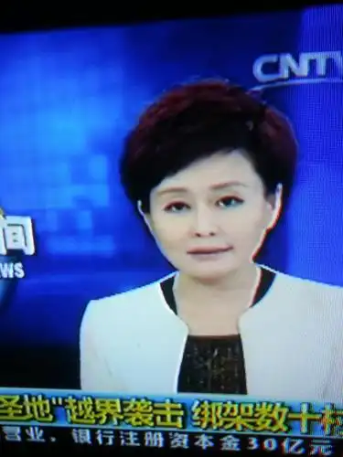 cctv13新闻台,这个女主播是谁呀?