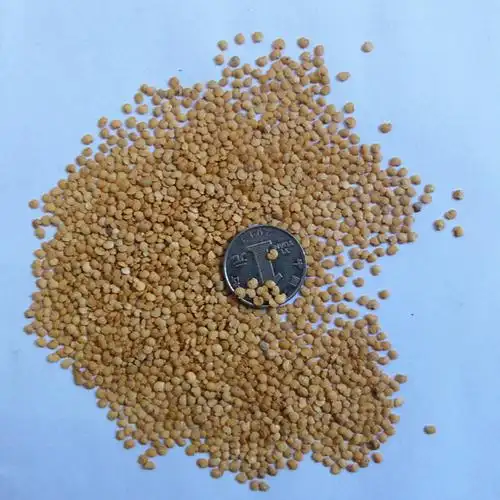 阳春三月茄子基地选用蔬菜种子春秋播种果蔬家庭园艺种子