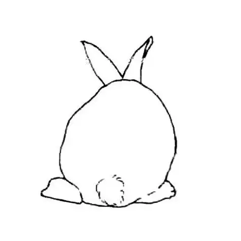 兔子的背面_简笔画_ps家园网
