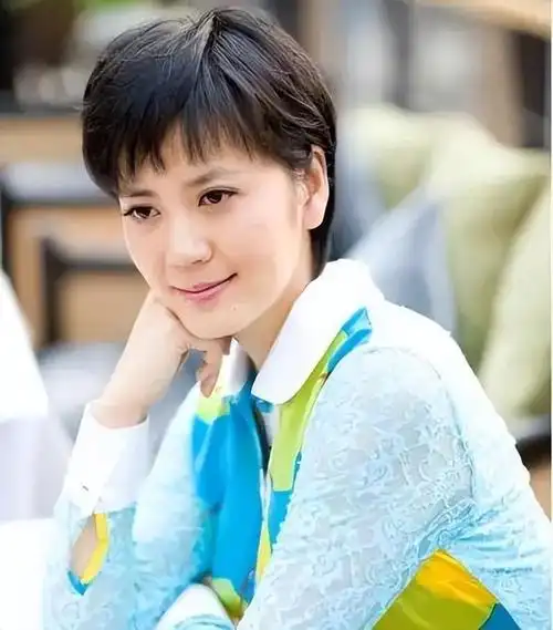 主持人沈冰犯的什么罪(沈冰出狱后的现状生活)