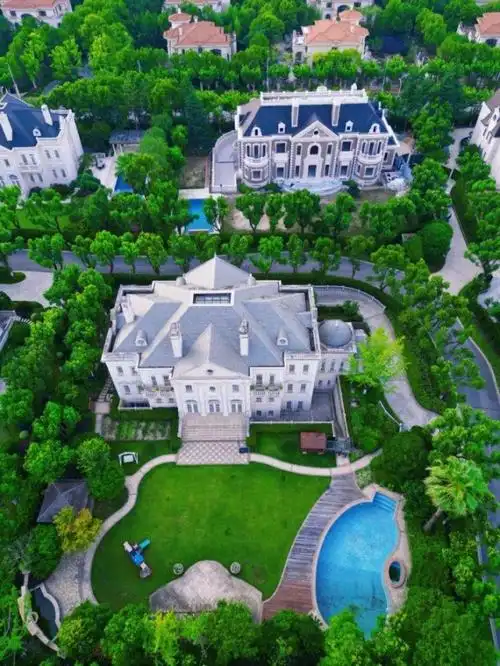 8548亿元拍下的是上海市浦东新区华洲君庭小区的一栋别墅.