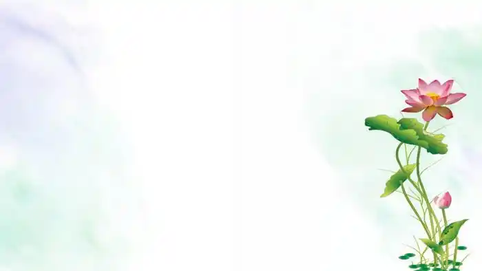 一组荷花荷叶ppt背景图片