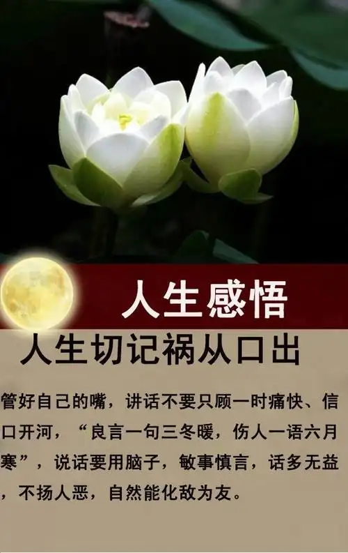 感悟人生9句话透视生活苦与累句句精辟