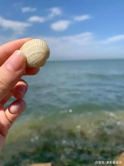 捡贝壳,是必须要做的一件事,如果能再捡到一颗珍珠,那真是太好啦!