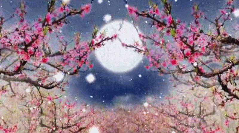 【gif-动图】— 用抠抠视频秀生成的gif动画(素材) - 夕阳无限美