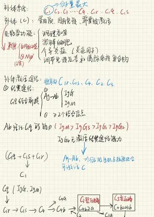 医学免疫学补体系统