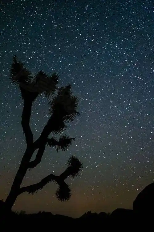 星星黑夜黑暗和天空