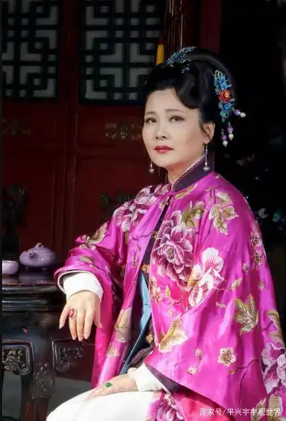 《大宅门》中饰演的杨九红惊艳了不少观众,除了杨九红何赛飞在其他