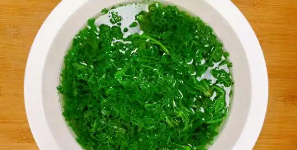 这菜全身是宝,可惜很多人当草,鲜嫩营养高,随手一拌,真香