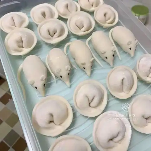 【鼠(数)钱】饺子致2020年(附花样饺子)#好吃不上火#(2/20)