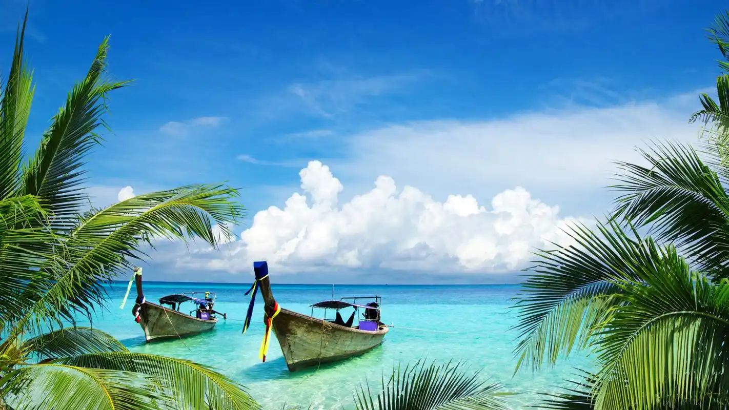 首页 桌面壁纸 海边沙滩棕榈树自然风光图片电脑壁纸上一张下一张查看