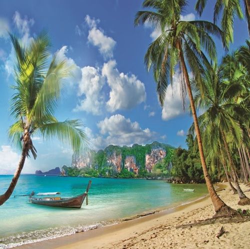 漂傲沙滩海边背景布 大海沙滩蓝天白云海边椰树风景主播拍视频段子直