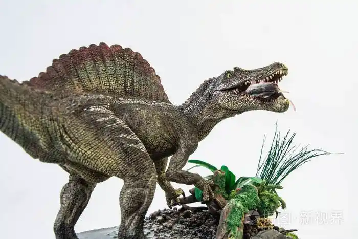 刺龙和它的食物恐龙在白色的背景