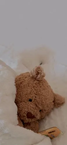 巴塞罗熊 - 堆糖,美图壁纸兴趣社区