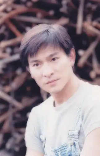 刘德华1961年9月出生于香港新界,1981年,时年20岁的刘德华顺利考进第