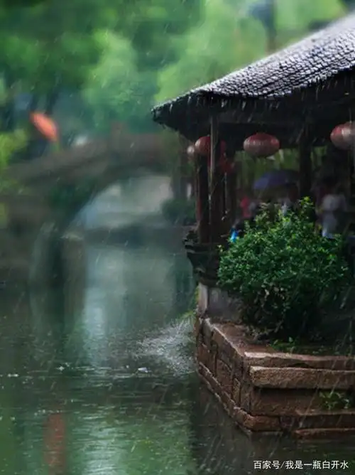 雨景(状物篇)