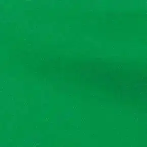 要想生活过得去 就得穿搭加点绿|纯色|衬衫|衬衫裙|内搭|阔腿裤_网易