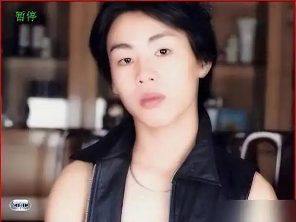 颜值之外胡彦斌展现全能才华撕下众人伪装