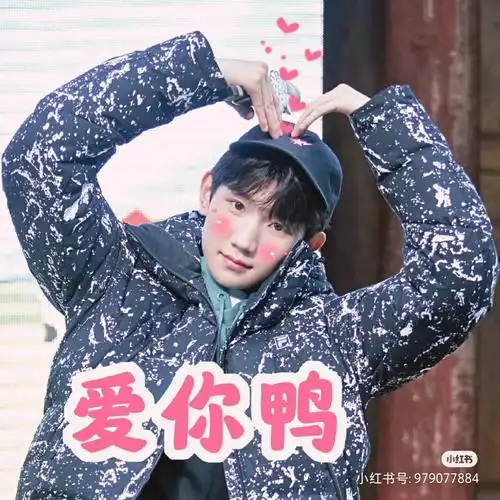 王源表情包[绿色心形r],抱图拿走