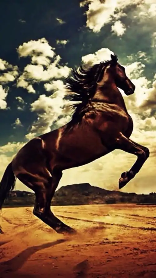 马- 堆糖,美图壁纸兴趣社区