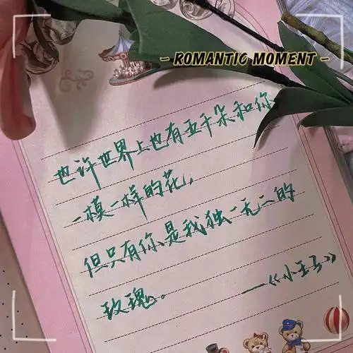 "也许世界上也有五千朵和你一模一样的花,但只有你是我独一无二的玫瑰