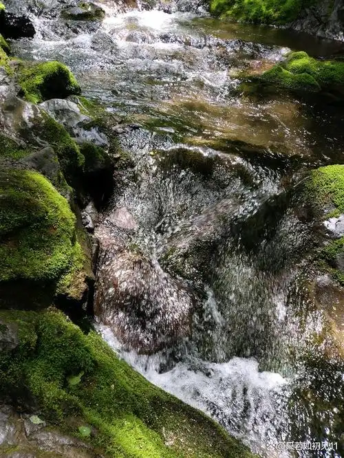 青山绿水小南川